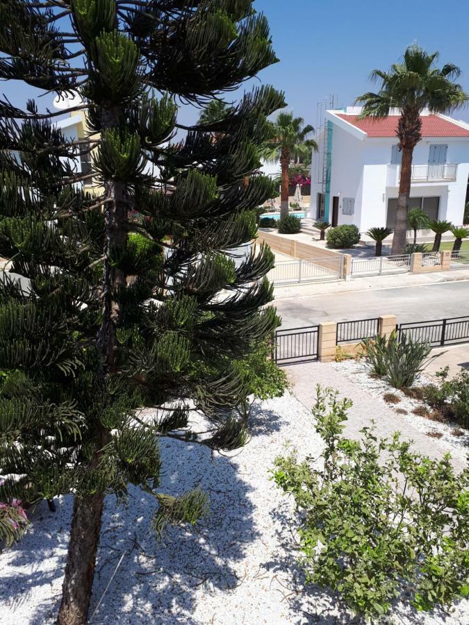 איה נאפה Villa Bouboulina Cyprus מראה חיצוני תמונה